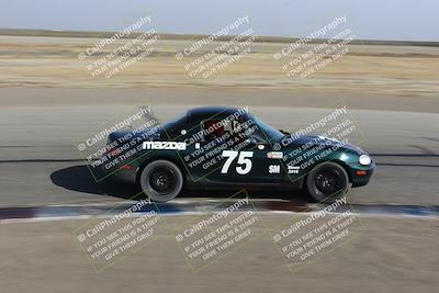 media/Nov-04-2023-CalClub SCCA (Sat) [[cb7353a443]]/Group 3/Cotton Corners (Race)/